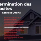 Entreprises 2 image EXTERMINATION 911 | EXTERMINATEUR ST-LÉONARD Pest & Vermin Control dans Montréal QC