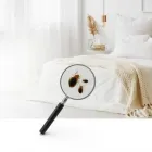 Entreprises 1 image EXTREME CLEAN HOUSEKEEPING, HOARDING & HOME CLEANING SERVICES TORONTO Cleaning Services dans York ON