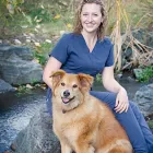 Entreprises 4 image FAIRFIELD ANIMAL HOSPITAL LTD Veterinarians dans Kelowna BC