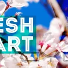 Entreprises 3 image FAITH WORSHIP CENTRE Community & Government dans North York ON