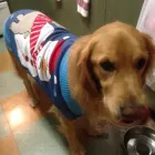 Business 11 image FAITHFUL FRIENDS PET FOOD & SUPPLIES Shopping in Richmond BC