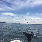 Business 1 image FIRST FISH CHARTERS travel & tourism in Vancouver BC