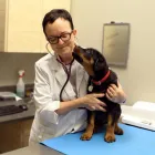 Business 3 image FISHER GLEN ANIMAL HOSPITAL Veterinarians in Nepean ON