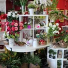 Entreprises 2 image FLEURISTE À CHACUN SA FLEUR Shopping dans Sherbrooke QC