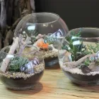 Entreprises 5 image FLEURISTE À CHACUN SA FLEUR Shopping dans Sherbrooke QC