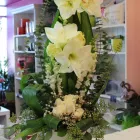 Entreprises 1 image FLEURISTE À CHACUN SA FLEUR Shopping dans Sherbrooke QC