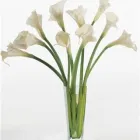 Business 1 image FLEURISTE LOUVAIN Shopping in Laval QC