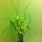 Entreprises 7 image FLEURS-O-MAX INC Shopping dans Pointe-aux-trembles QC