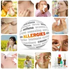 Entreprises 16 image FOREVER HEALTHY Massage Therapists dans Miramichi NB
