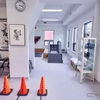 Entreprises 4 image FOUR PAWS REHAB AND FITNESS Veterinarians dans Toronto ON