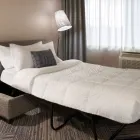 Entreprises 12 image FOUR POINTS BY SHERATON WINDSOR DOWNTOWN travel & tourism dans Windsor ON