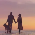 Business 1 image GRACE FERTILITY CENTRE Fertility Clinics & Physicians in Vancouver BC