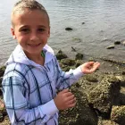 Entreprises 3 image GREEN APPLE DAYCARE & PRESCHOOL Education dans Port Moody BC