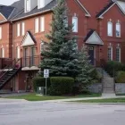 Entreprises 3 image GROUND-CONTROL.CA LTD Snow Removal Services dans Mississauga ON