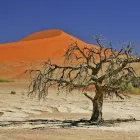 Business 1 image GROUPE VOYAGES VP Travel Agents in Montréal QC