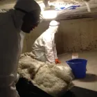 Business 3 image GTA MOLD REMOVAL MISSISSAUGA Mold Testing & Removal in Mississauga ON