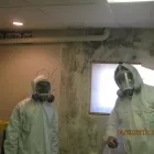 Business 4 image GTA MOLD REMOVAL MISSISSAUGA Mold Testing & Removal in Mississauga ON