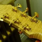 Entreprises 5 image HALIFAX FOLKLORE CENTRE Shopping dans Halifax NS