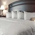 Entreprises 12 image HAMPTON INN & SUITES BY HILTON EDMONTON INTERNATIONAL AIRPORT travel & tourism dans Leduc AB