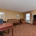 Entreprises 29 image HAMPTON INN & SUITES BY HILTON EDMONTON INTERNATIONAL AIRPORT travel & tourism dans Leduc AB