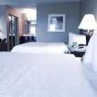 Entreprises 6 image HAMPTON INN & SUITES BY HILTON EDMONTON INTERNATIONAL AIRPORT travel & tourism dans Leduc AB