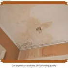 Business 1 image HERO RESPONSE Real Estate & Home Improvement in Etobicoke ON
