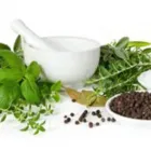 Entreprises 4 image HOLY FAMILY WELLNESS CENTRE INC Physiotherapists dans Mississauga ON