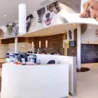 Business 2 image HÔPITAL VÉTÉRINAIRE DE L'ORMIÈRE Veterinarians in Québec QC