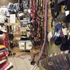 Entreprises 2 image HORSE'N AROUND Sports & Recreation dans Red Deer AB