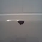 Entreprises 4 image HOT ROD TUB REFINISHING Real Estate & Home Improvement dans Edmonton AB