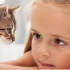 Business 4 image HUMBER BAY VETERINARY HOSPITAL Veterinarians in Etobicoke ON