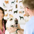 Business 6 image HUMBER BAY VETERINARY HOSPITAL Veterinarians in Etobicoke ON