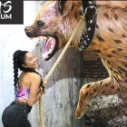 Entreprises 1 image IARTS MUSEUM Arts, Entertainment & Nightlife dans Toronto ON