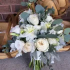 Business 7 image IN BLOOM Shopping in Kingston ON