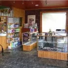 Entreprises 9 image INSTITUT DE TONTE POIL-LUXE Pet Sitters dans Québec QC