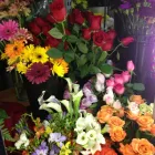 Entreprises 2 image JANET'S FLOWERS LTD Shopping dans Dartmouth NS