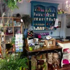 Entreprises 9 image JANET'S FLOWERS LTD Shopping dans Dartmouth NS