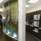 Business 3 image JOLY DENTAL CARE Health & Medicine in Edmonton AB