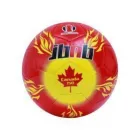 Entreprises 8 image JUST BAG AND BALLS Sports & Recreation dans Windsor ON