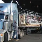 Business 4 image KANATA TRANSPORT & LOGISTICS LTD Road Haulage & Freight Forwarding in Stittsville ON