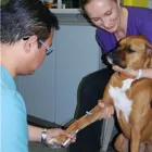 Entreprises 6 image KATO ANIMAL HOSPITAL Veterinarians dans Toronto ON