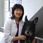 Entreprises 1 image KATO ANIMAL HOSPITAL Veterinarians dans Toronto ON