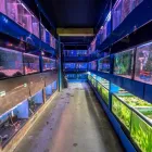 Business 16 image KING ED PET CENTRE LTD Shopping in Burnaby BC