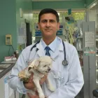 Entreprises 5 image LANSDOWNE ANIMAL HOSPITAL Veterinarians dans Richmond BC