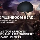 Entreprises 1 image LEATHER KING & KINGSPOWERSPORTS Motorcycle & Scooter Parts & Accessories dans Windsor ON