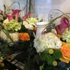 Entreprises 2 image LES HALLES EN FLEURS INC Shopping dans Québec QC