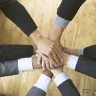 Business 3 image LEVITT INSURANCE BROKERS LTD. Legal & Financial Services in Toronto ON