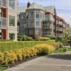 Business 5 image LEVITT INSURANCE BROKERS LTD. Legal & Financial Services in Toronto ON