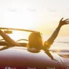 Business 8 image LEVITT INSURANCE BROKERS LTD. Legal & Financial Services in Toronto ON