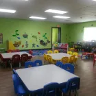 Business 7 image LITTLE NEMO'S DAY CARE Day Centres in Edmonton AB